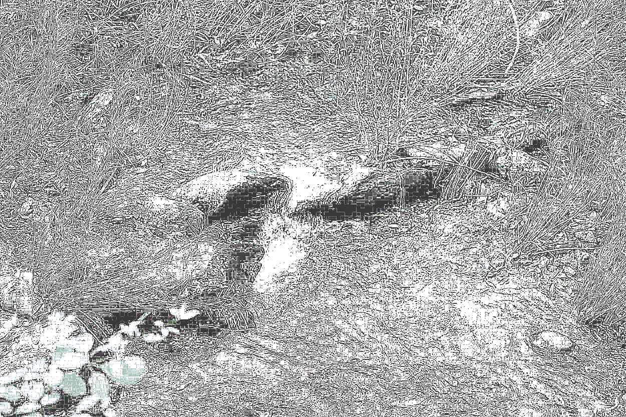 공주 태화산 마곡사 공주 태화산 마곡사