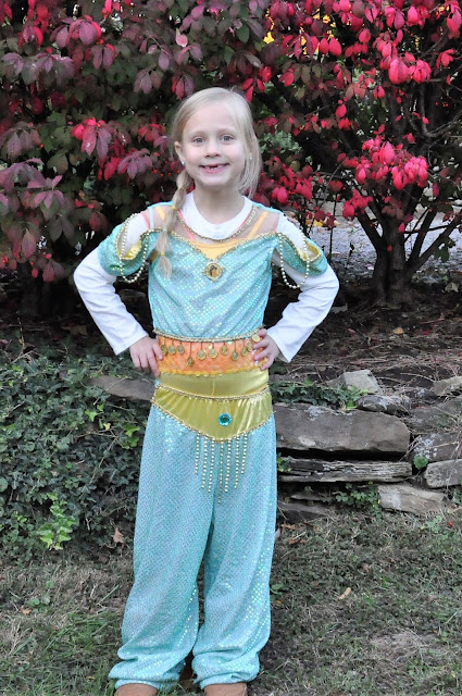 Princess Jasmine Costume