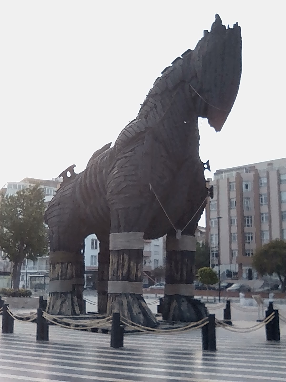 Hepsi Yaralar Sonuncusu Öldürür! Kıyılardan Yana