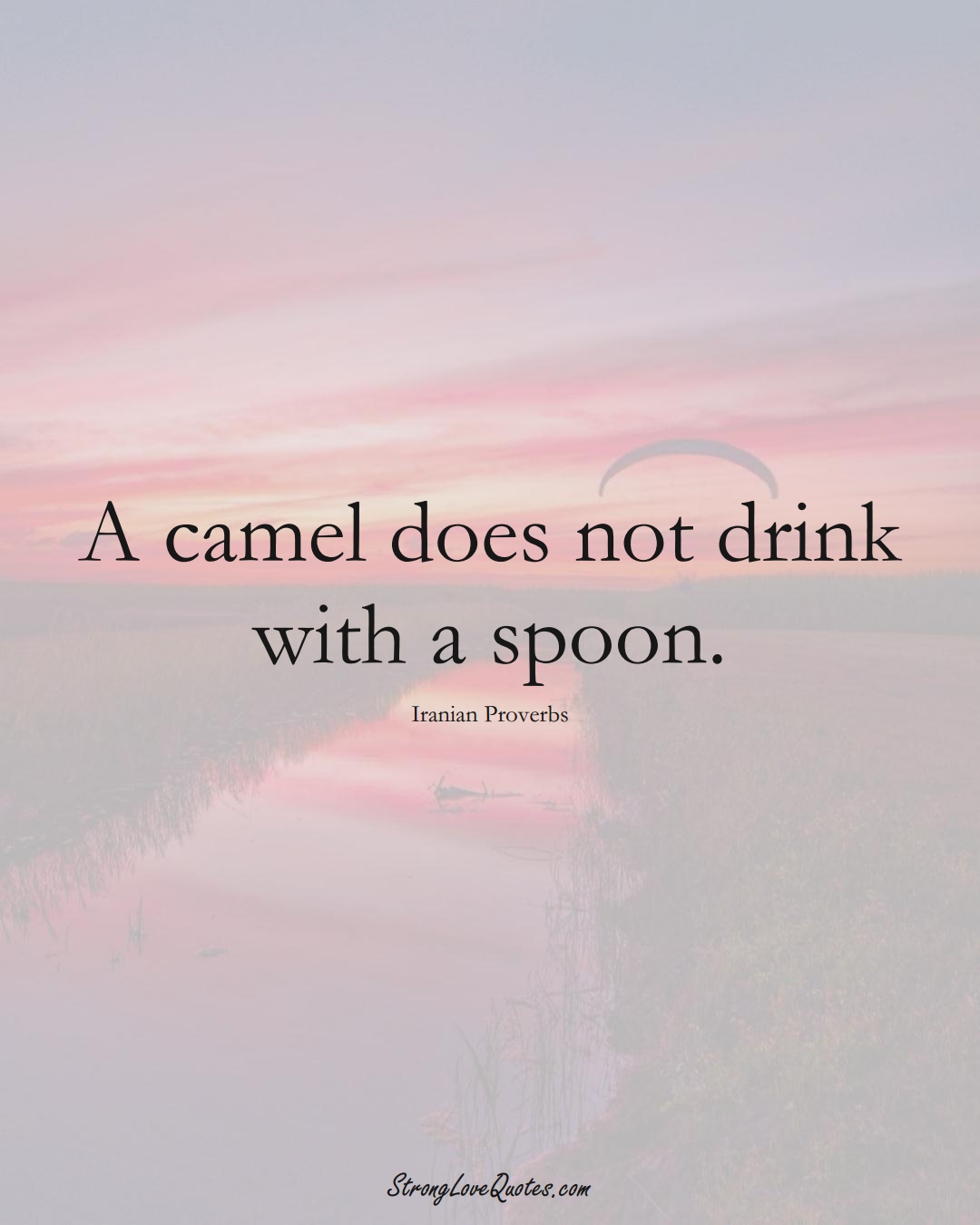 A camel does not drink with a spoon. (Iranian Sayings);  #MiddleEasternSayings