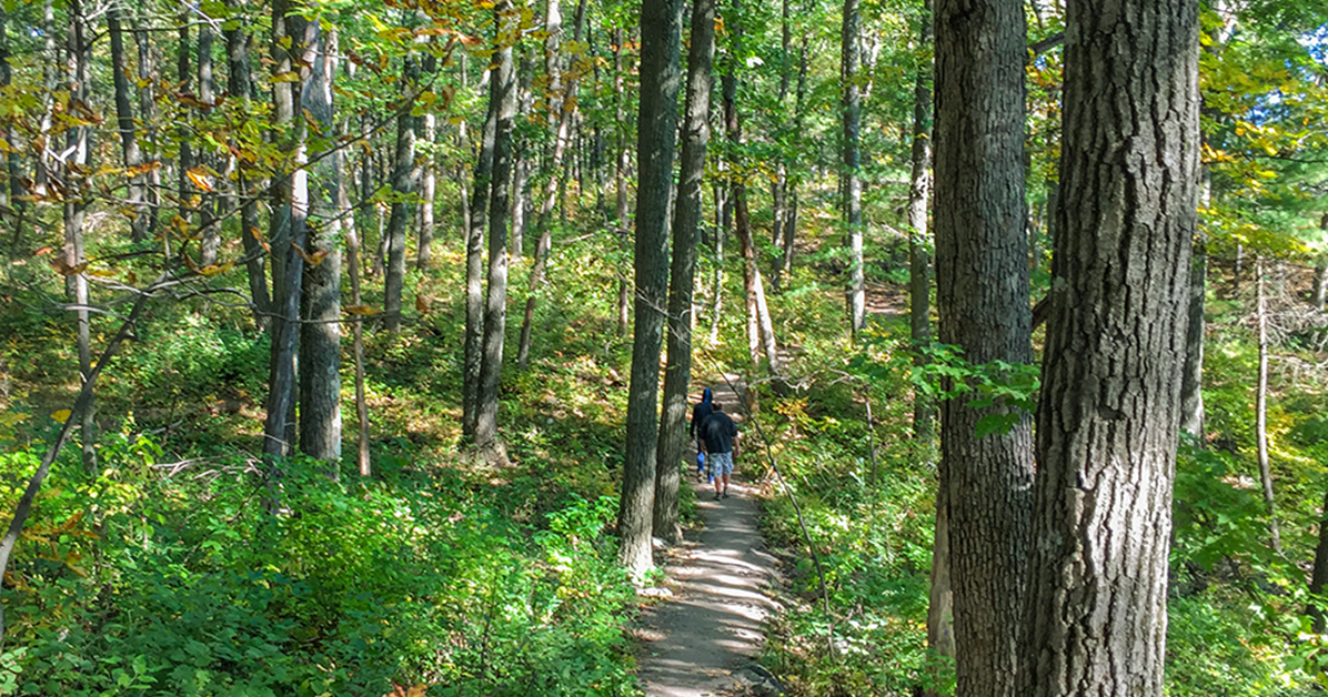 Wisconsin Explorer Top Ten Hiking Trails In Wisconsin