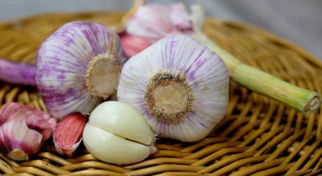 Garlic Elixir Against Infections, Hair Loss And Acne