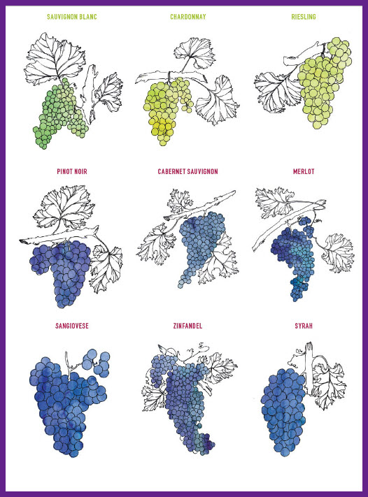 Baccarat betting systems Baccarat betting systems