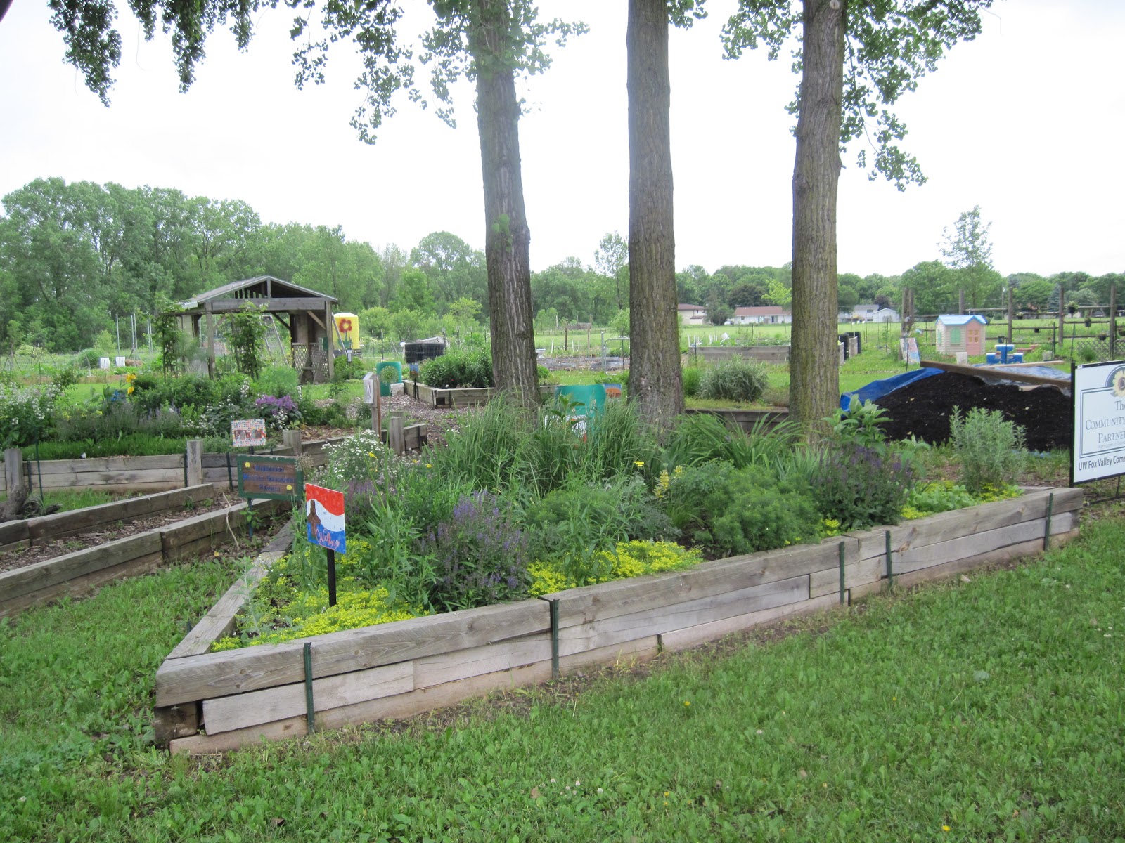 Community Gardens of the Fox Valley The Green Fox Magazine