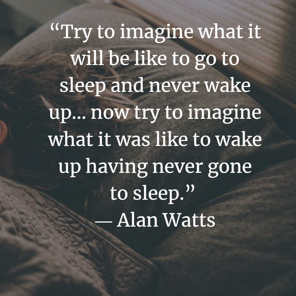 Best Alan Watts Inspiring Image Quotes and Awakening Sayings