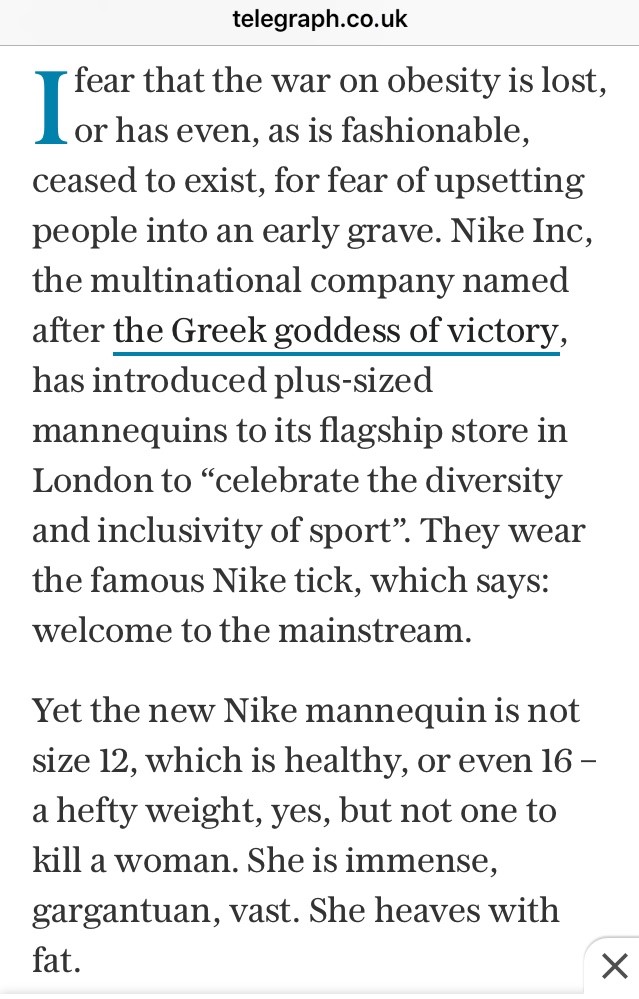 the telegraph nike article