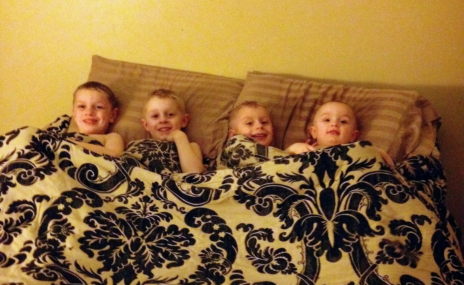 Dudes are Destructive: a Poem