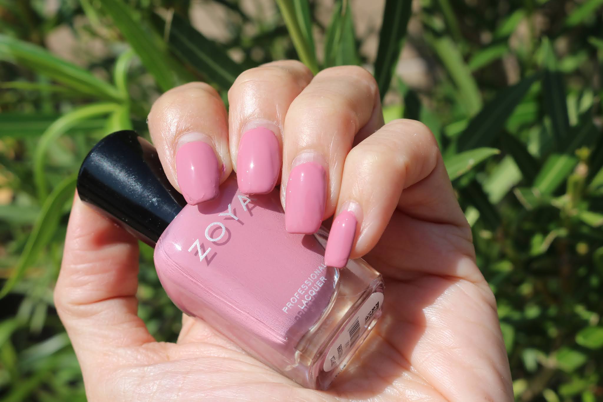 Zoya Vivi Zoya Vivi