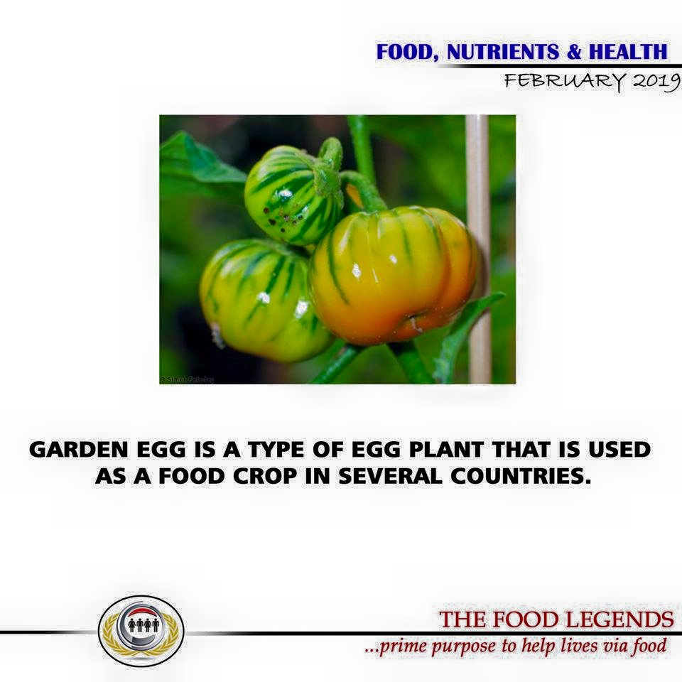Garden Egg The Food Legends
