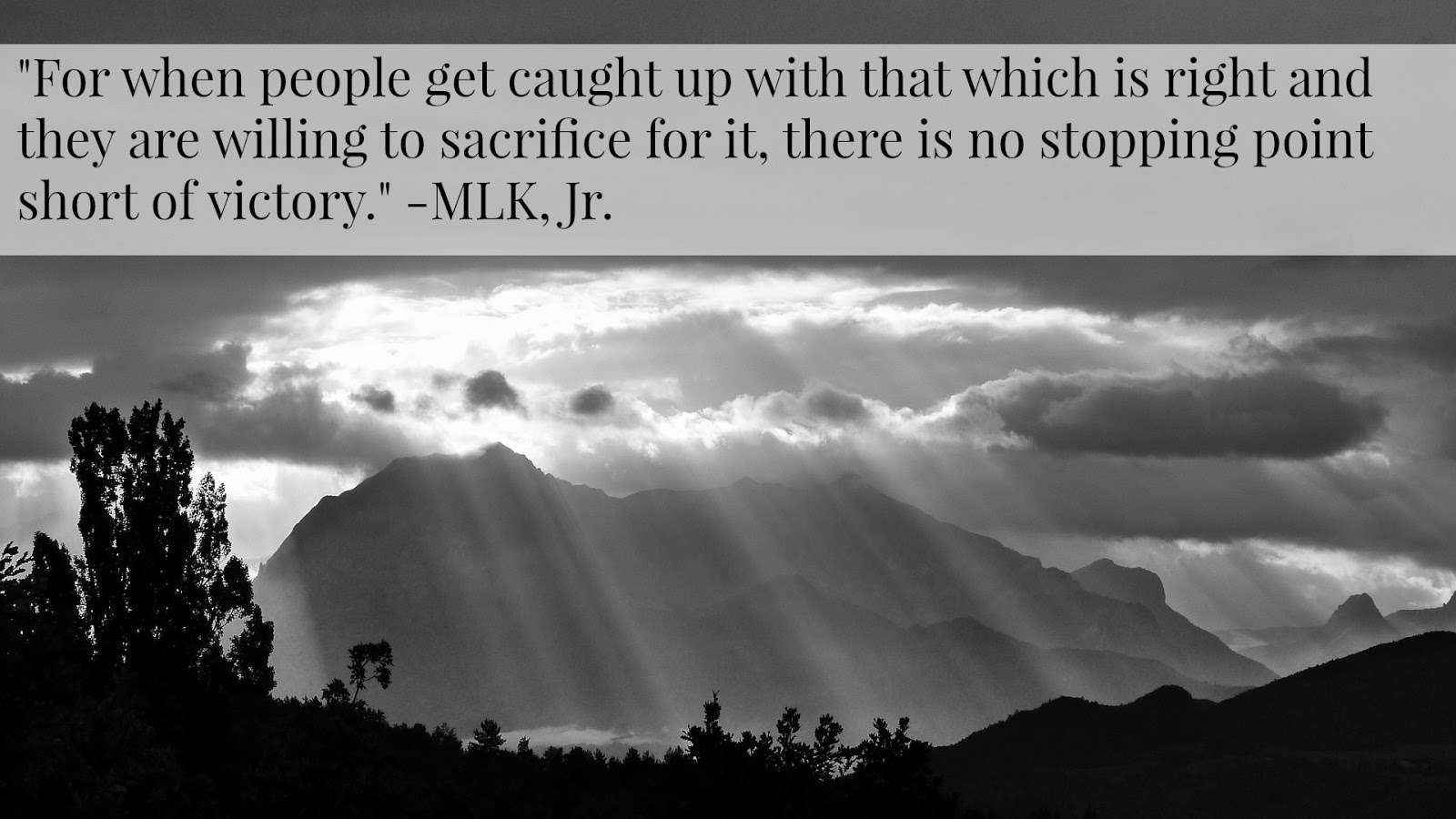 Zucchini Summer: Best Martin Luther King, Jr. Quotes