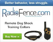 Radio Fence Pet Safety
