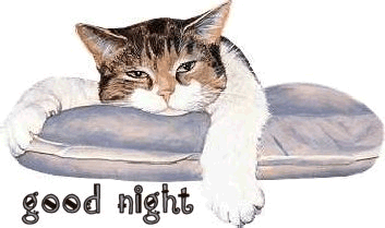 Good Night animated giphy images resuts for Good Night animated giphy