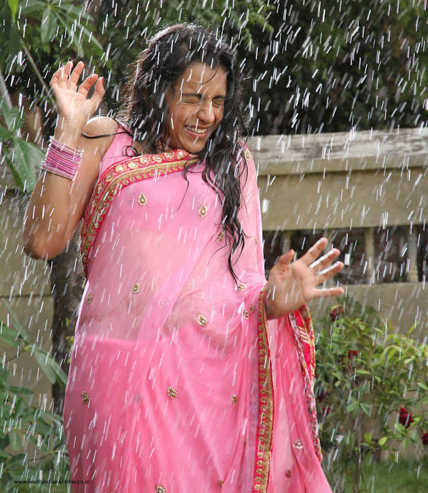 Trisha Krishnan Wet Hot HD Photos in Kalavathi Movie