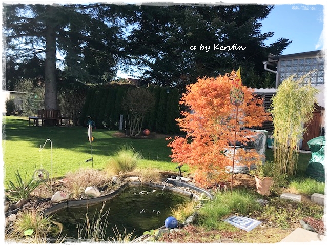 Pams Potsdam 2018 06 17 By Potsdamer Zeitungsverlagsgesellschaft