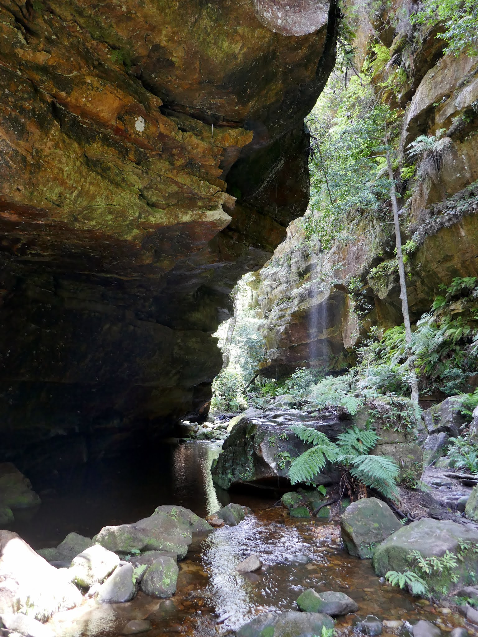 All The Gear But No Idea Govetts Leap, Cliff Top Track, Evans Lookout