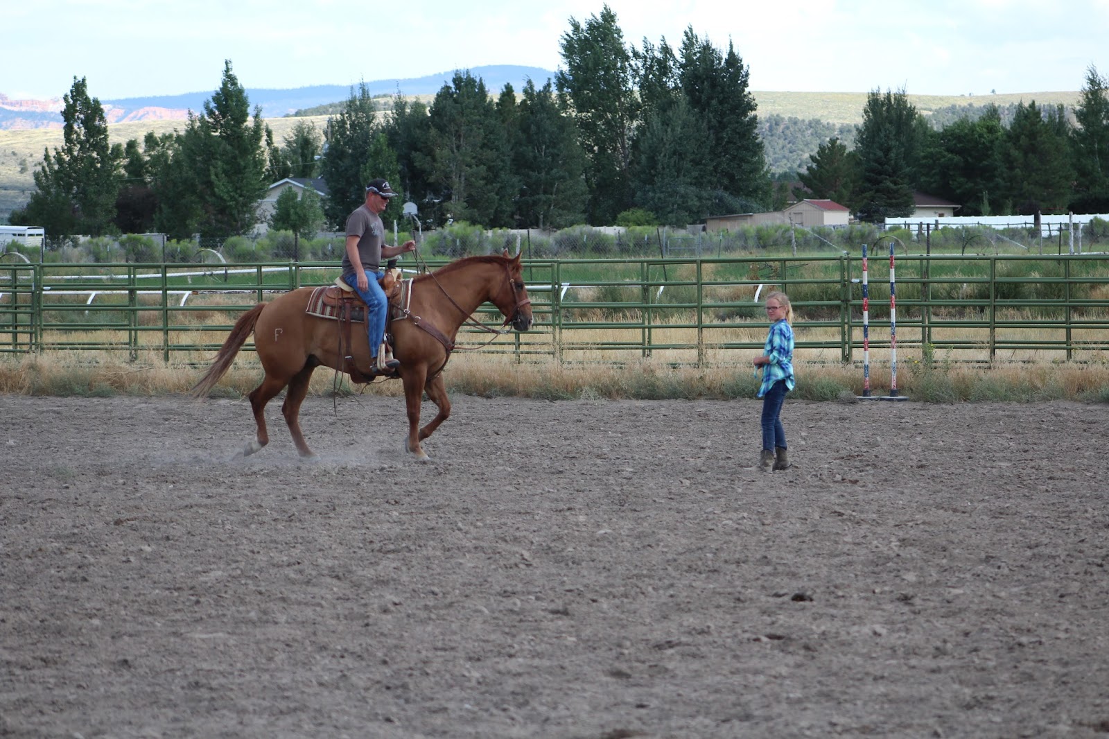 Finchtastic Horse Fun Day Garfield County Fair