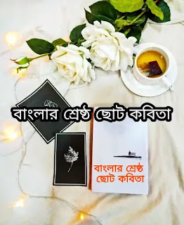 Bangla Choto Kobita (বাংলার সেরা ছোট কবিতা)