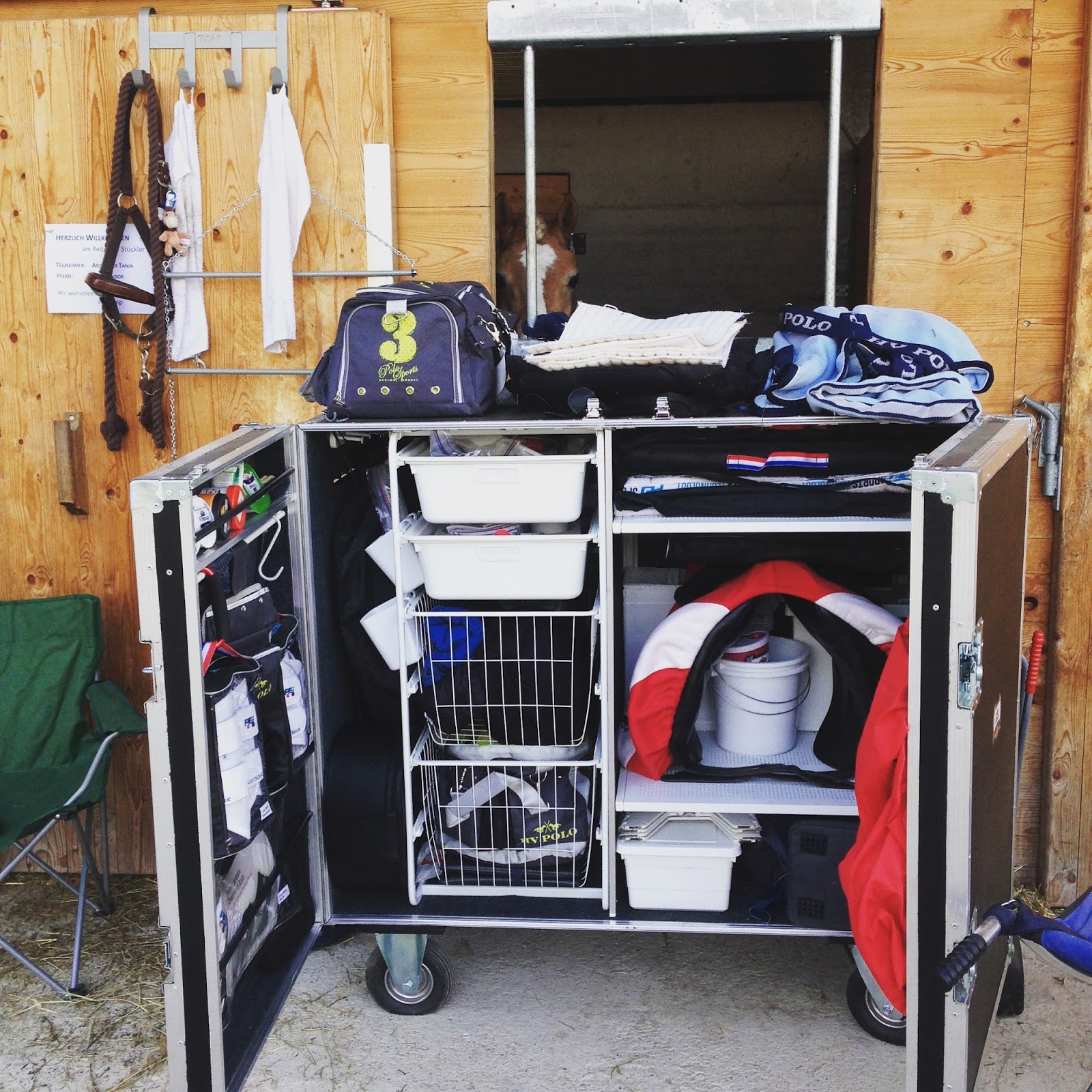 2017 Projects' Review The Tack Locker Dressage Hafl