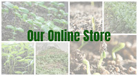 Our Online Store