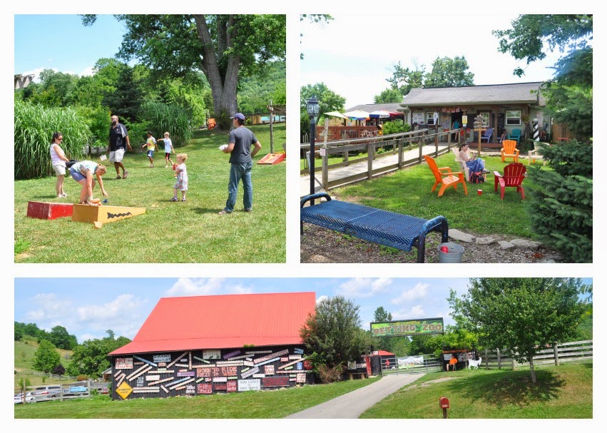 Road Trip Campbell County Farm Tour TOMORROW July 19! The Food Hussy!