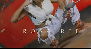 DOWNLOAD VIDEO | Rosa Ree X Chemical X Frida Amani X S2kizzy X Mamy Baby – Naona Love mp4