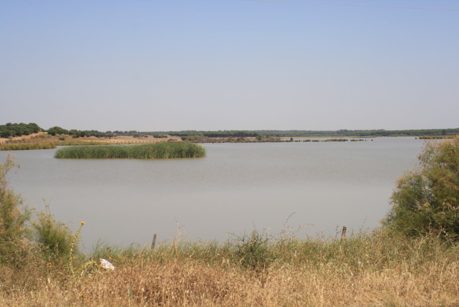 Foto de Ruta del agua Palomares del Río en Palomares del Río, Sevilla