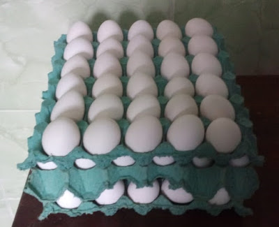 90 ovos do cartela do bem para ação de alimentação