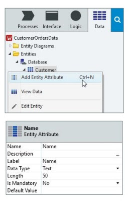 OutSystem Entities and Variables