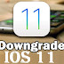 Uninstall iOS 11.4.1 and Downgrade iOS 11.4.1 Latest to Older iOS 11.3.1 - Tutorial
