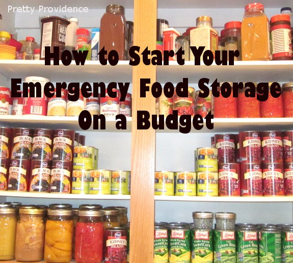 How to Start Food Storage on a Budget Pretty Providence