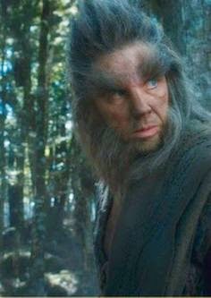 Beorn Beorn