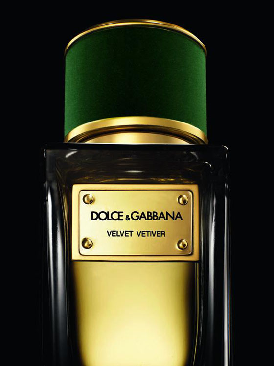 Disappear Here: Dolce & Gabbana Velvet Perfume Collection launched at ...
