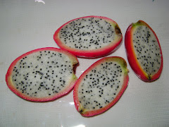 Fruta do Mandacaru, poderia ser a fonte de renda  Sertão da Paraíba