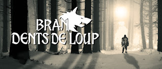 Blog Collection : BRAN DENTS DE LOUP