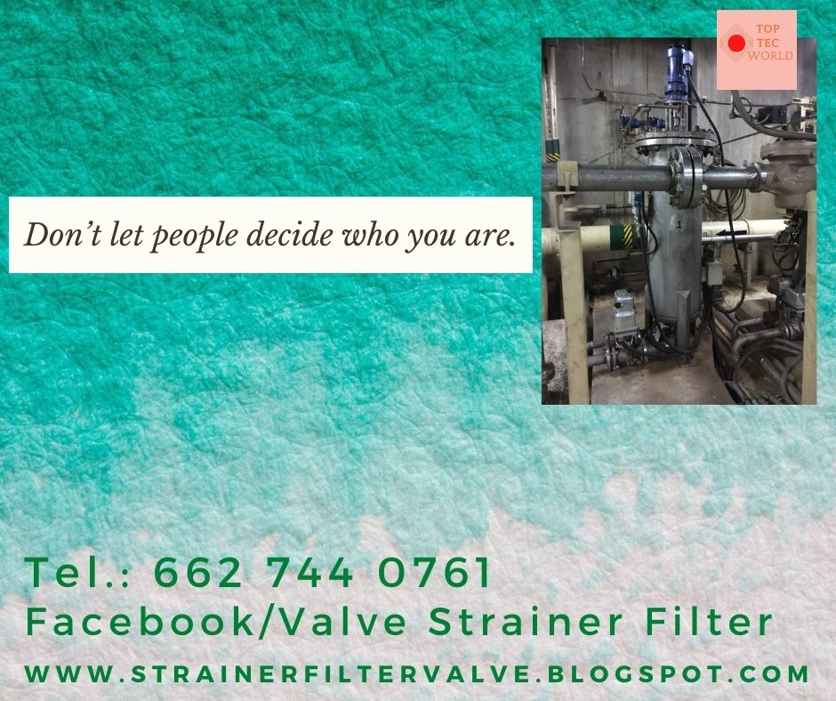 StrainerFiltervalve auto backwash filter marine