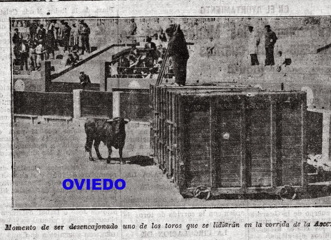 OVIEDO TOROS