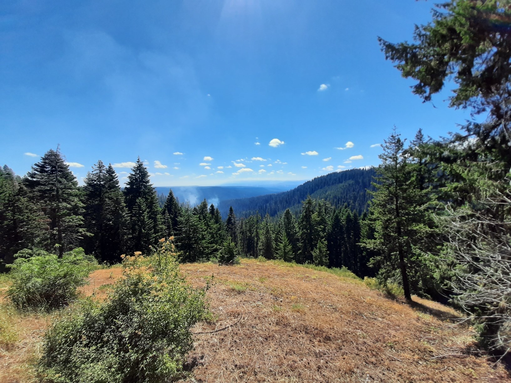 Blue Mountain Fire Information Umatilla National Forest Lightning Fire