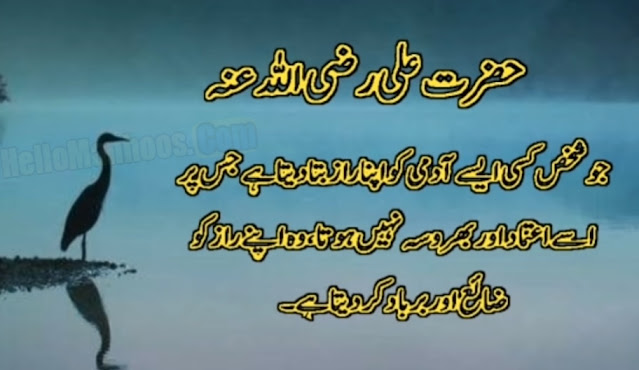 Hazrat Ali (R.A) Heart Touching Quotes In Urdu