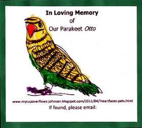 In loving memory of our parakeet