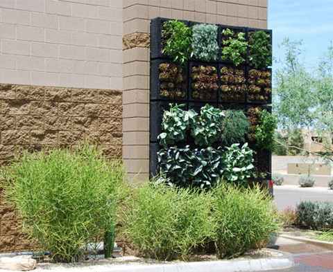 Alison Day Designs: Vertical Gardens