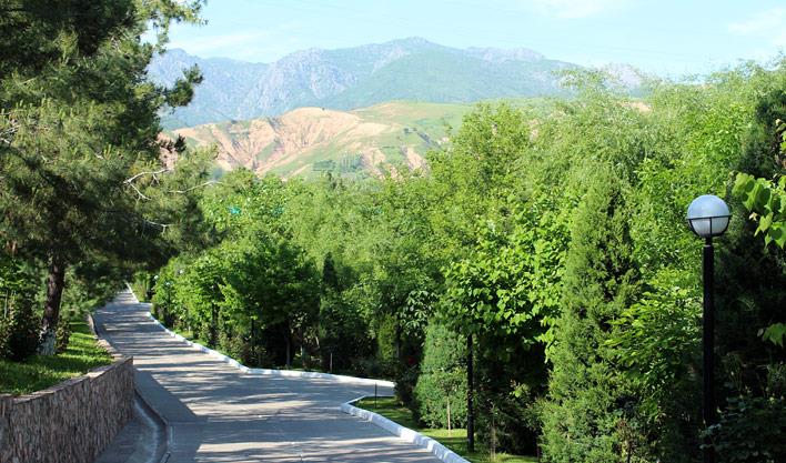 Курорт в ташкенте Курорт в ташкенте