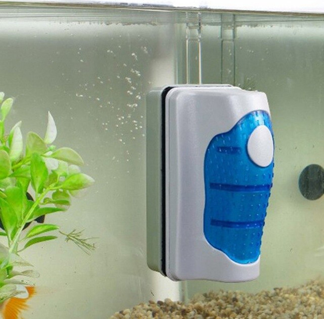 8 Cara Membersihkan Kaca Aquarium Berkerak Dan Berlumut