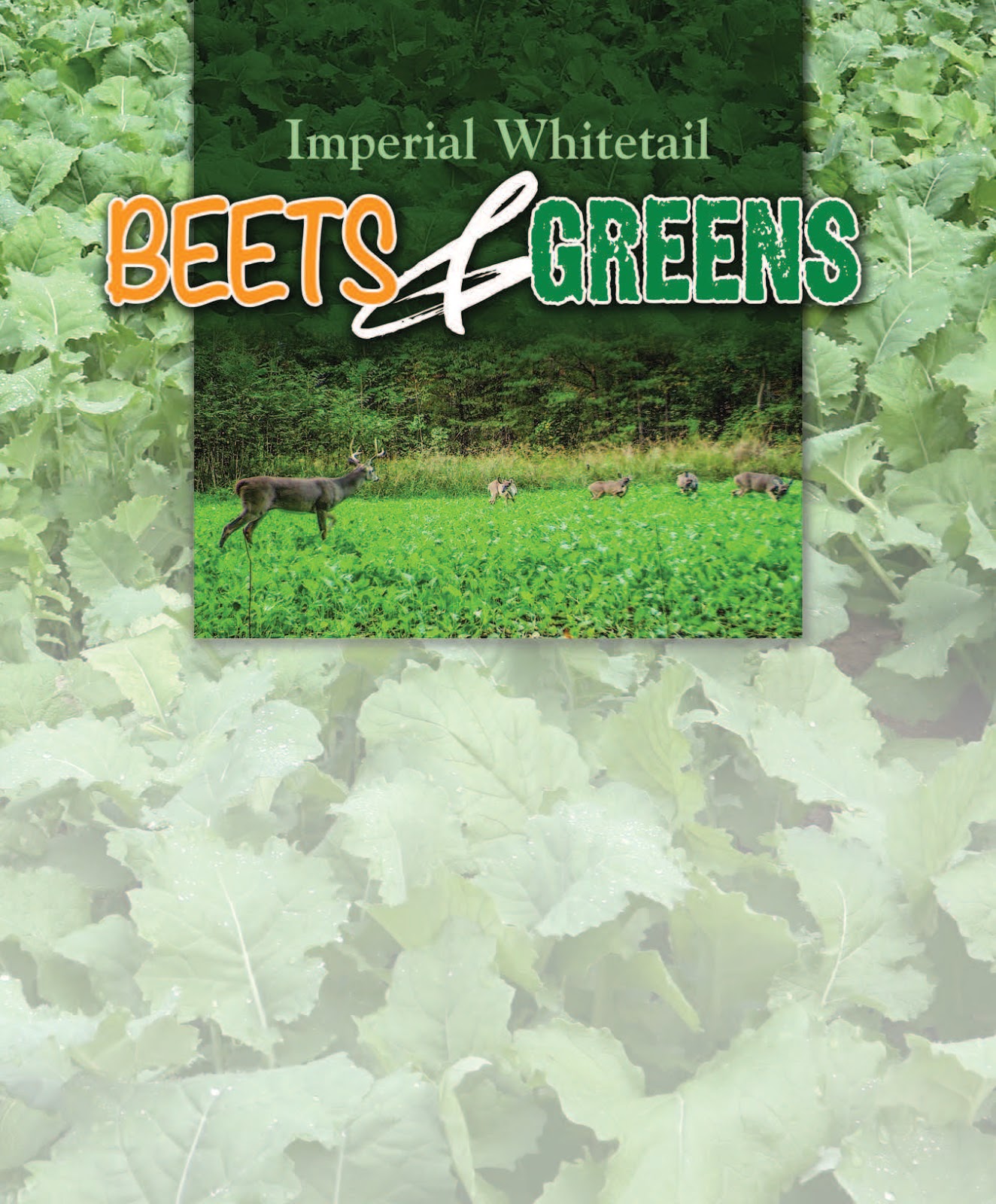 Whitetail Institute Imperial Beets & Greens