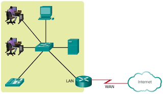 lingo networks lingo networks