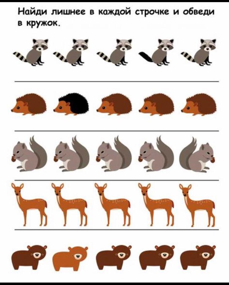 Дикие животные и их детеныши для детей. Тени животных для дошкольников. Игра "дикие/домашние животные". Дикие животные задания для дошкольников. Дикие животные для детей.