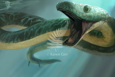 serpiente marina prehistorica Pachyrhachis