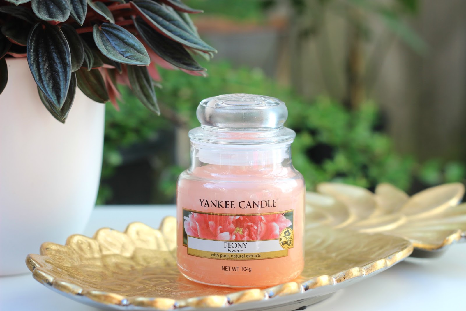 Home My Yankee Candle Summer Collection