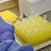 Em 24 horas, sete países registraram primeiro caso do novo coronavírus