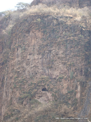 Cueva en el cañón de Matatlán