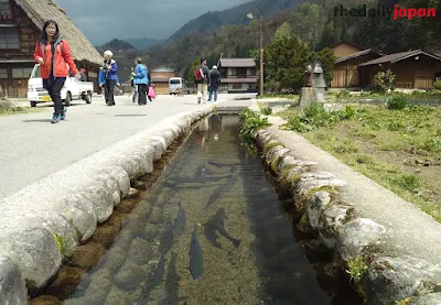 Lingkungan Biotik dan Abiotik